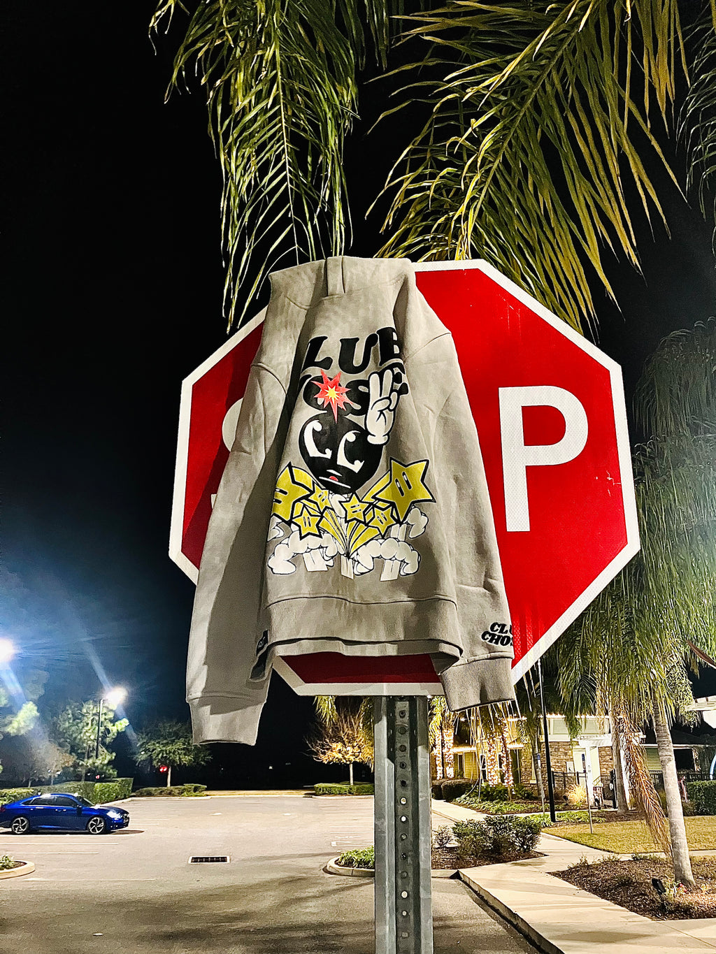 RIOT BOY HOODIE (crazy grey)