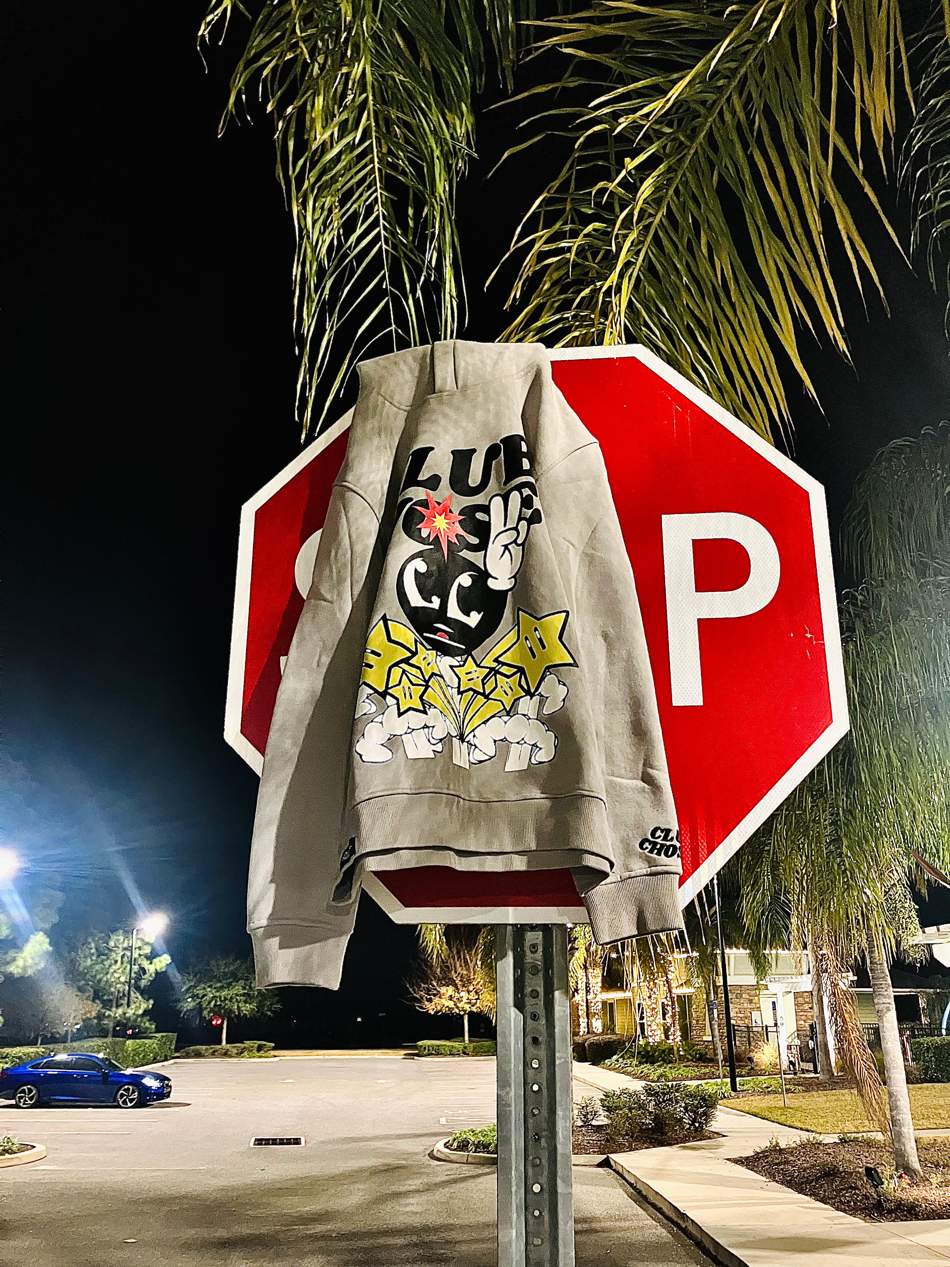 RIOT BOY HOODIE (crazy grey)